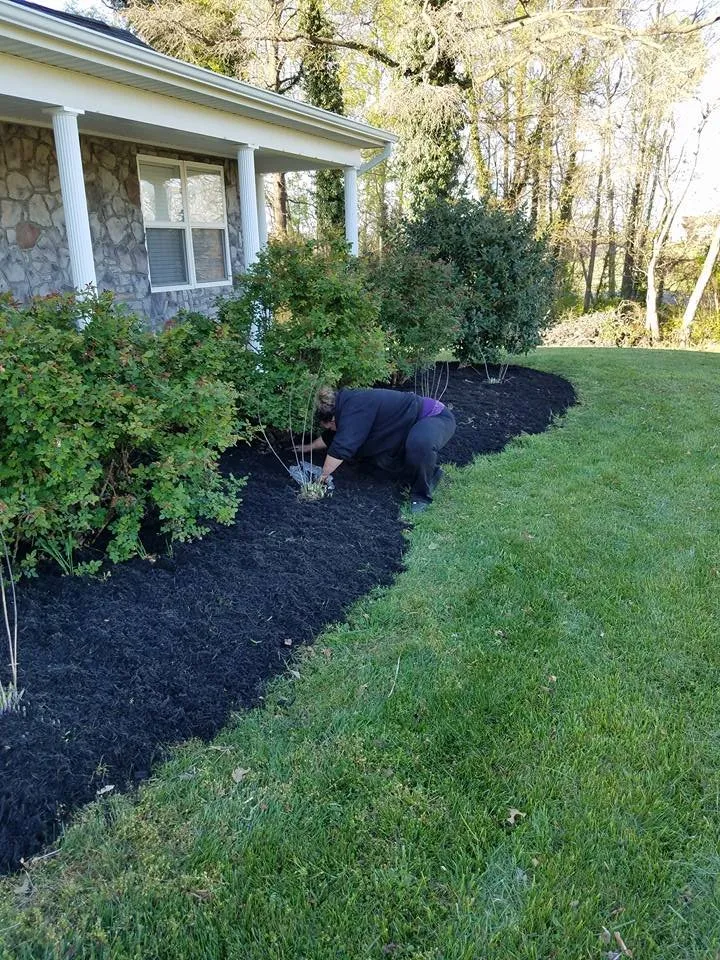 Top-rated garden landscaping experts serving Culpeper, VA - Browns Tree & Landscaping & Home Improvements