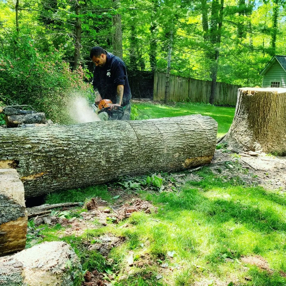 Professional yard maintenance in Culpeper, VA - Browns Tree & Landscaping & Home Improvements