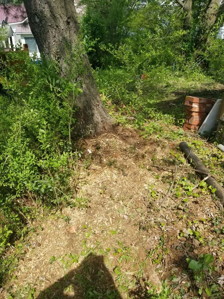 Professional landscape installation experts serving Culpeper, VA - Browns Tree & Landscaping & Home Improvements