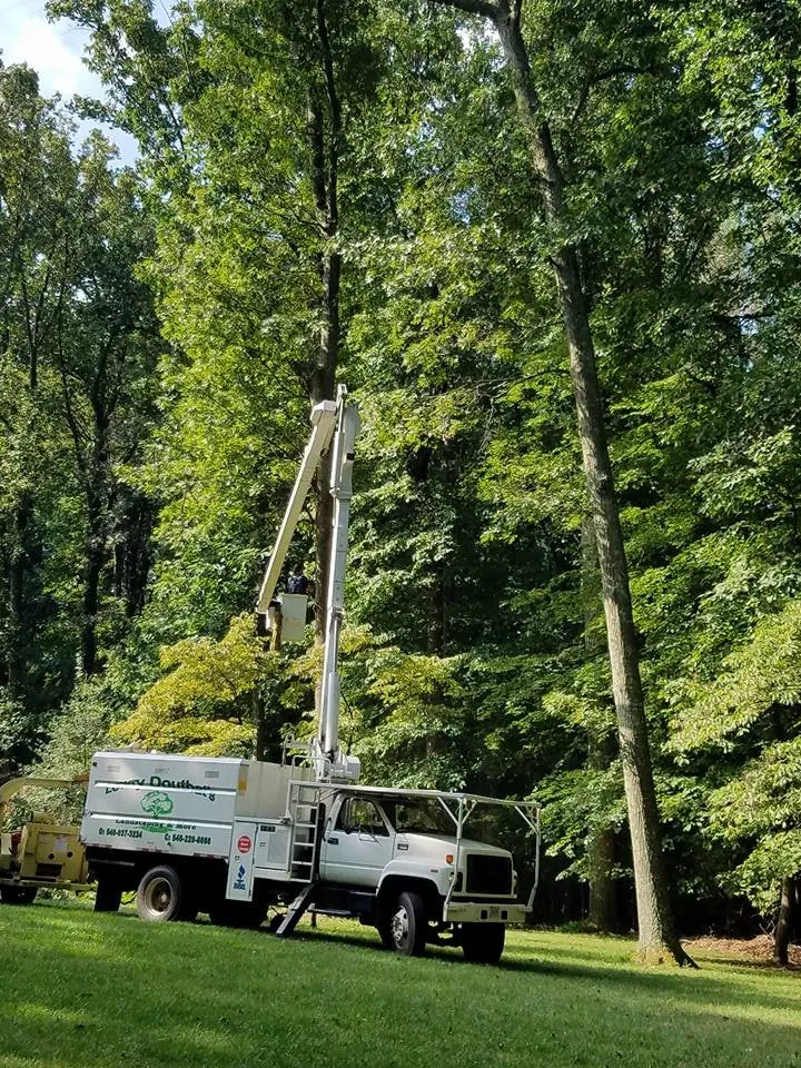 Expert lawn mowing service experts serving Culpeper, VA - Browns Tree & Landscaping & Home Improvements