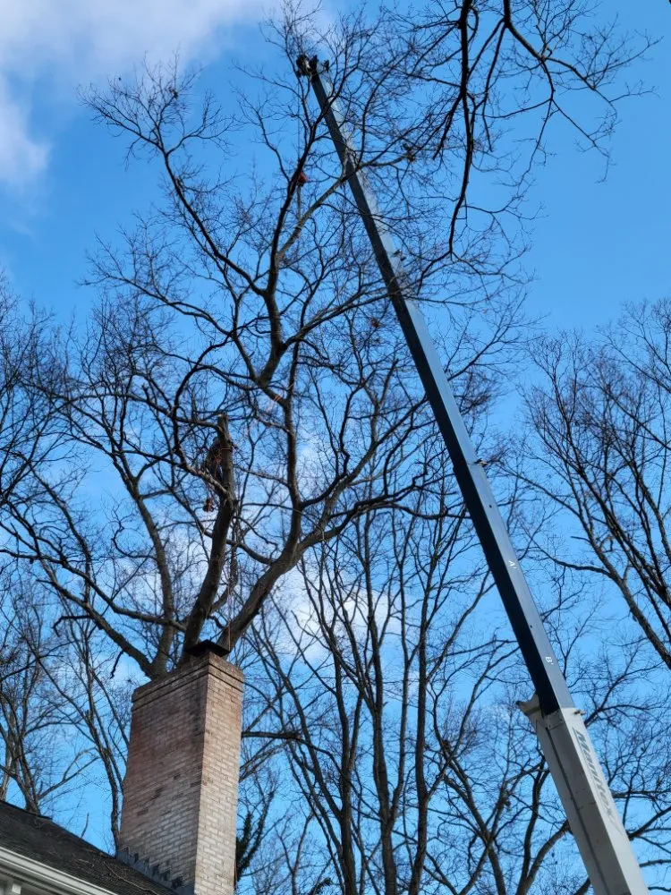 Local yard maintenance for beautiful yards across Culpeper, VA - Browns Tree & Landscaping & Home Improvements