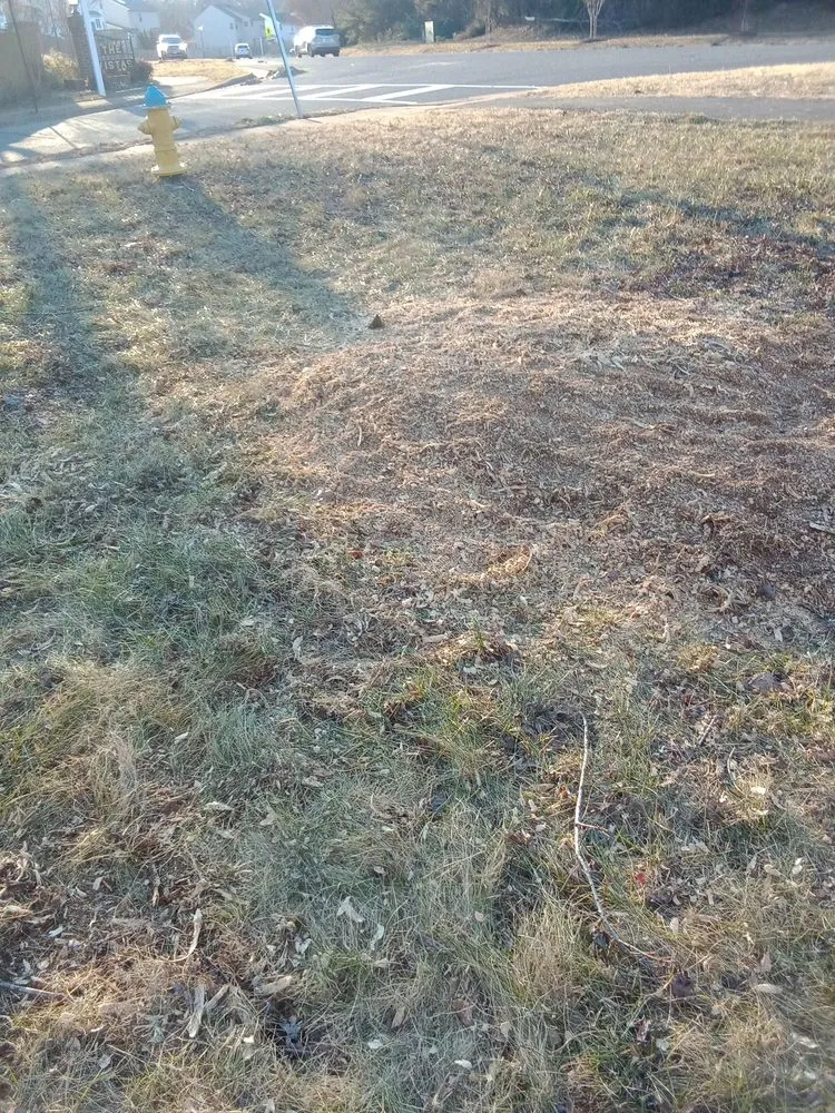 Professional landscape installation for residential properties across Culpeper, VA - Browns' Tree and Landscaping Home Improvements