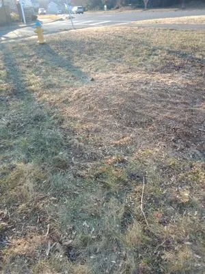 Browns' Tree and Landscaping Home Improvements Logo