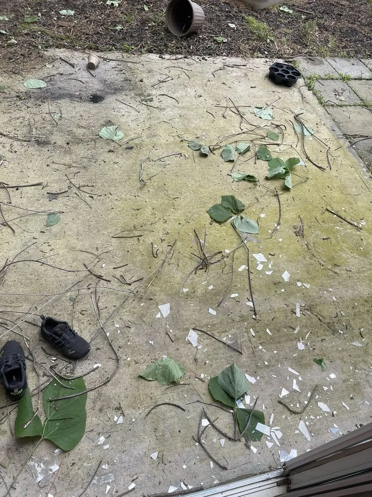 Trusted yard maintenance in Decatur, GA by Brown's Tree and Lawn Service