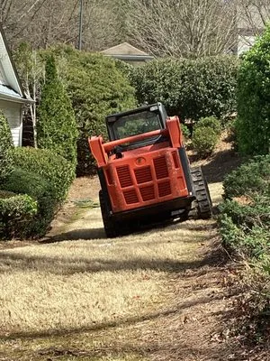 Brown's Tree and Lawn Service Logo