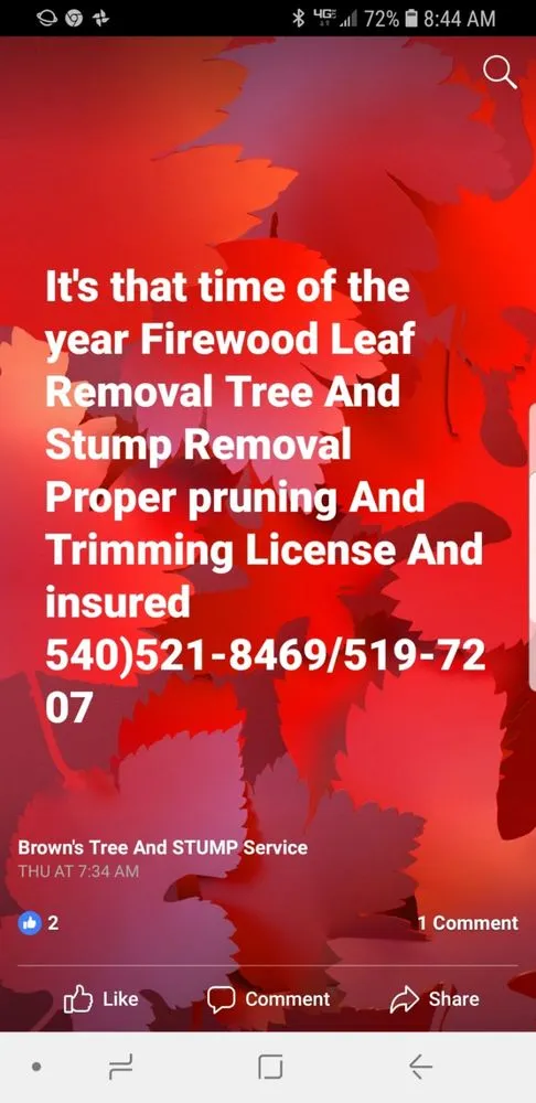 Local yard maintenance near you in Roanoke, VA by Brown's Tree And STUMP Service