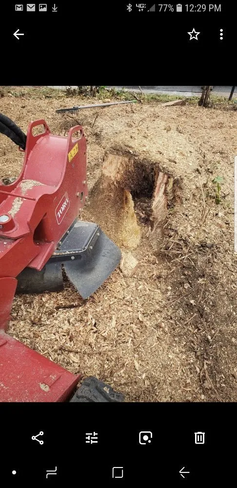 Local yard maintenance in Roanoke, VA - Brown's Tree And STUMP Service