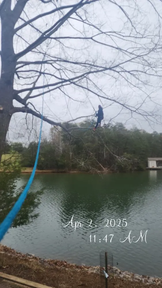 Custom yard cleanup service in Roanoke, VA by Brown's Tree And STUMP Service