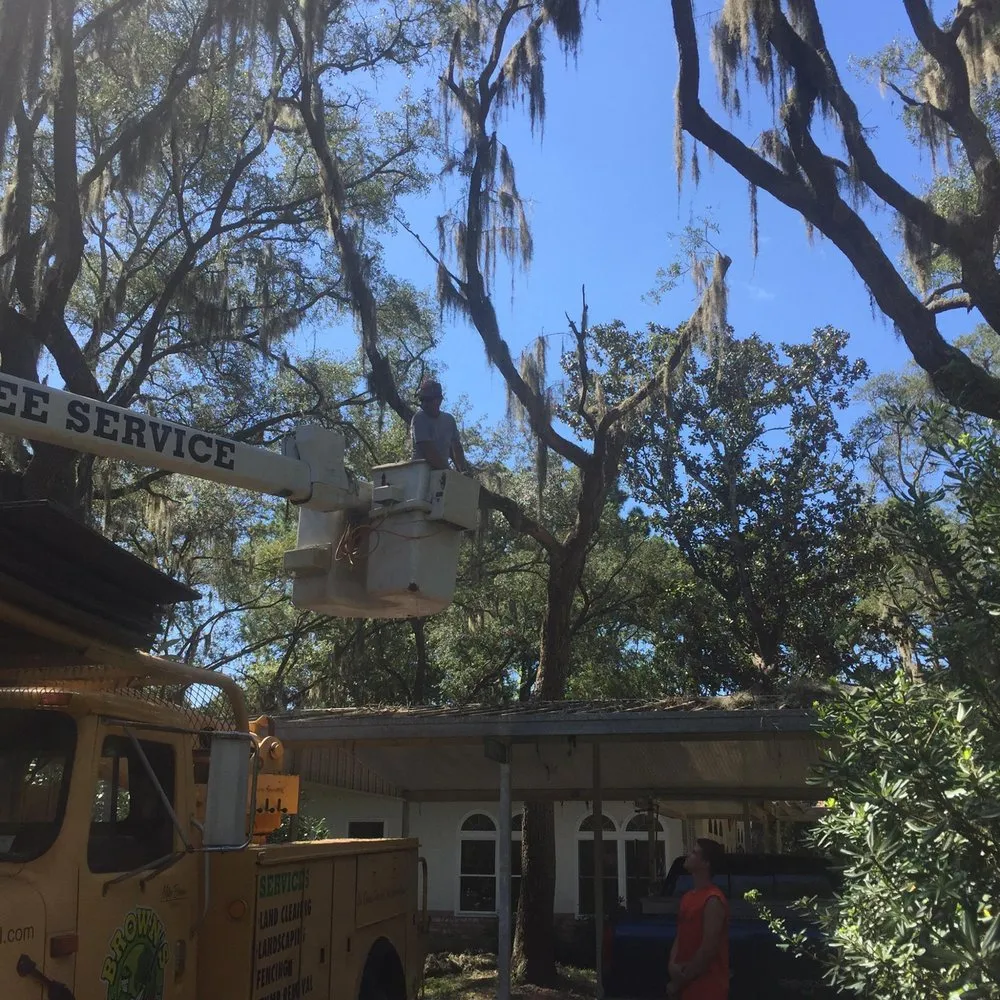 Reliable landscape installation experts serving Panama City, FL - Brown's Tree Service and Land Clearing