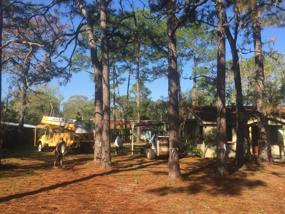 Top-rated yard cleanup service in Panama City, FL by Brown's Tree Service and Land Clearing