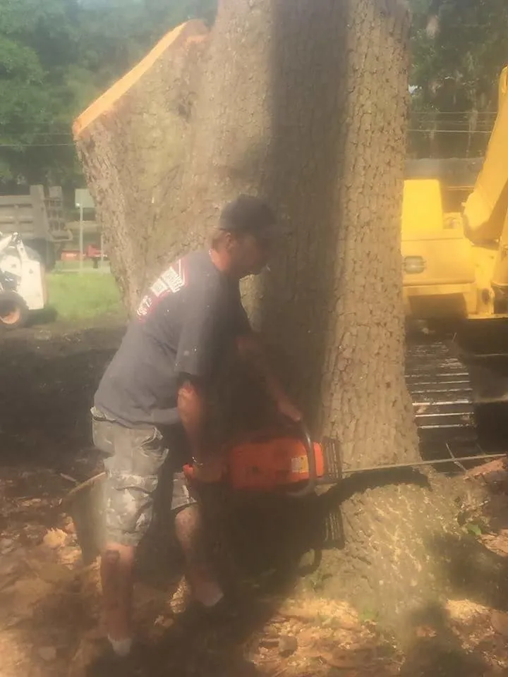 Reliable outdoor landscaping near you across Panama City, FL - Brown's Tree Service and Land Clearing