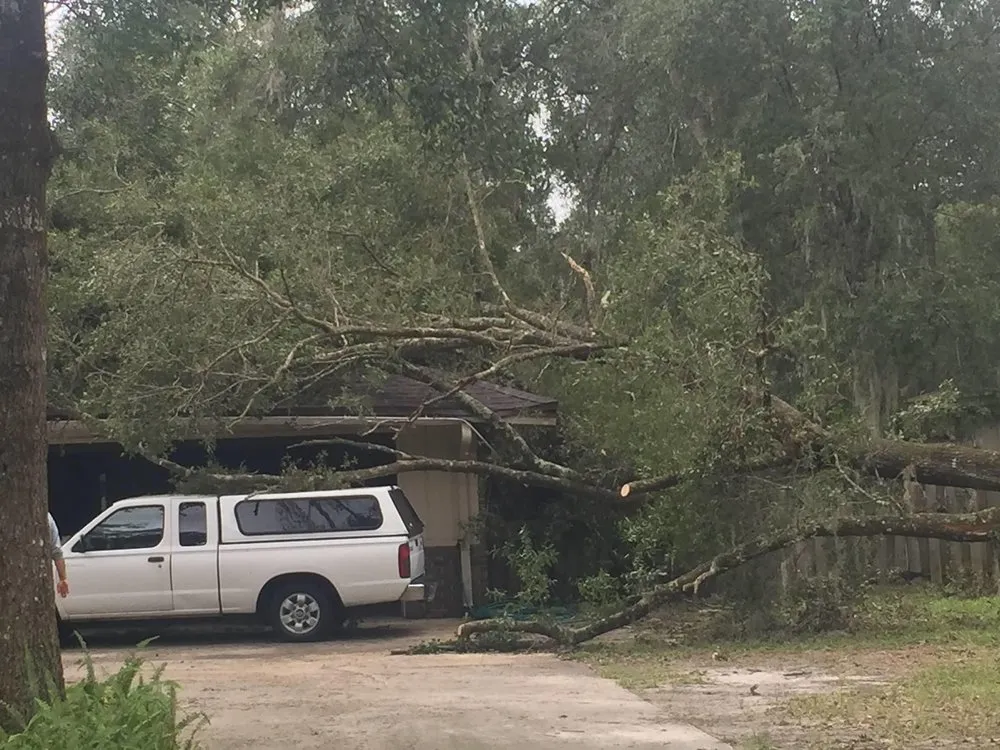 Local garden landscaping in Panama City, FL by Brown's Tree Service and Land Clearing