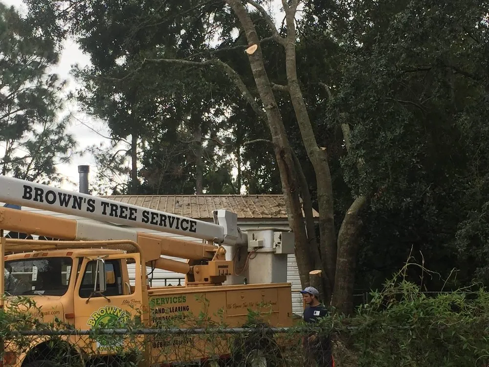 Local landscape installation in Panama City, FL - Brown's Tree Service and Land Clearing