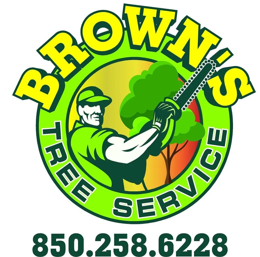 Reliable lawn care service in Panama City, FL - Brown's Tree Service and Land Clearing