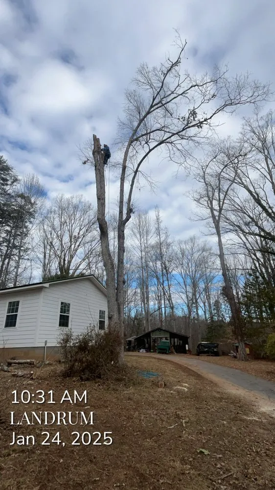 Top-rated landscape installation experts serving Campobello, SC - Brown's Tree Service