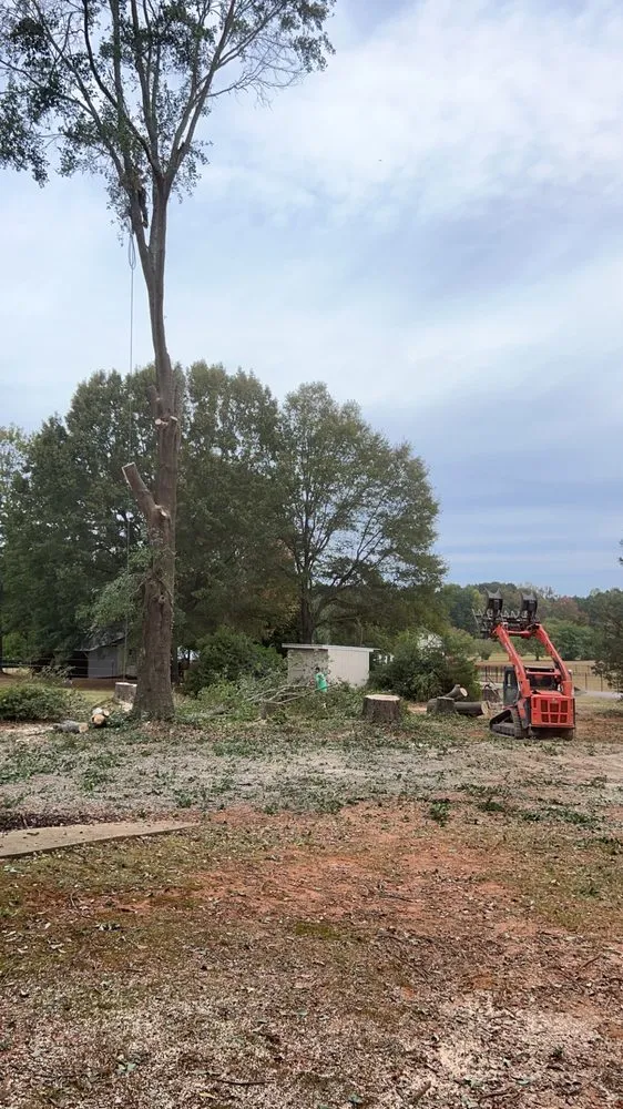 Reliable yard cleanup service in Campobello, SC by Brown's Tree Service