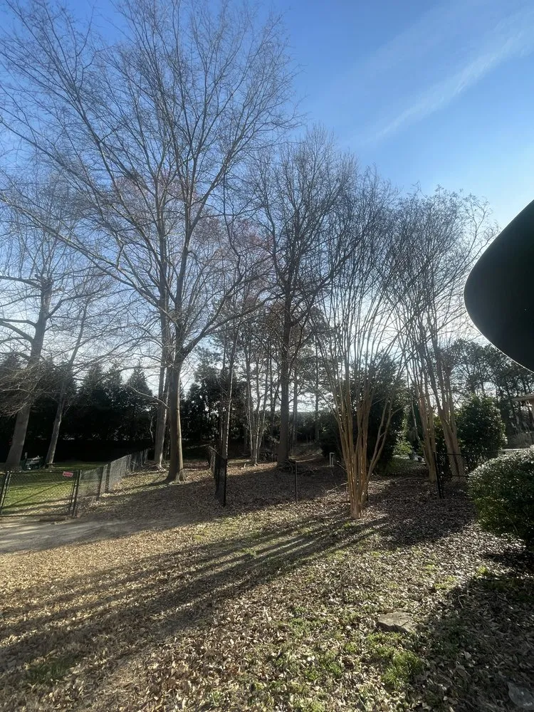 Expert lawn care service experts serving Campobello, SC - Brown's Tree Service