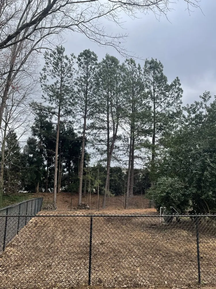Expert lawn care service with custom design in Campobello, SC by Brown's Tree Service