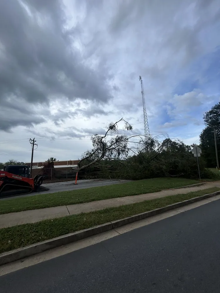Custom outdoor landscaping for outdoor upgrades in Campobello, SC by Brown's Tree Service