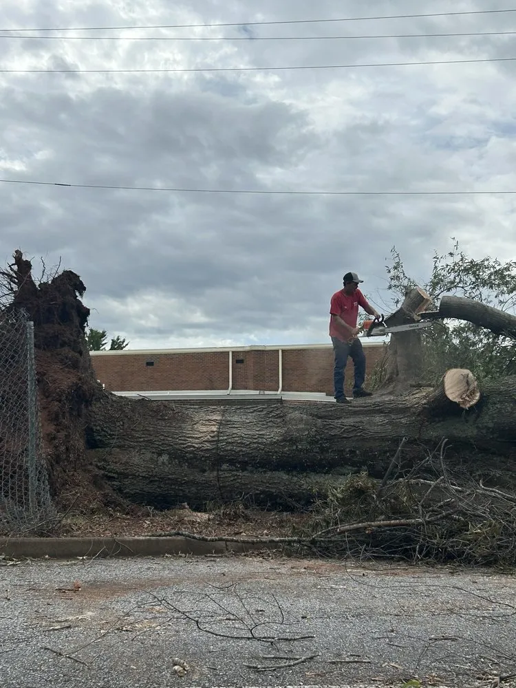 Top-rated landscape installation in Campobello, SC by Brown's Tree Service