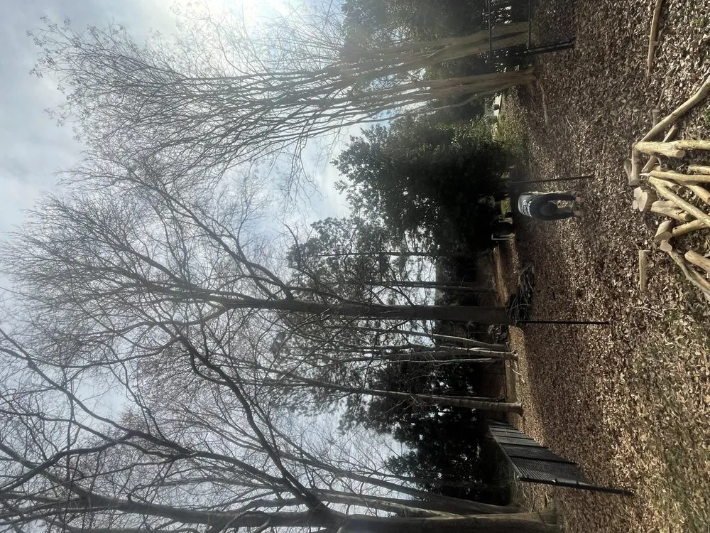 Affordable landscaping services in Campobello, SC by Brown's Tree Service
