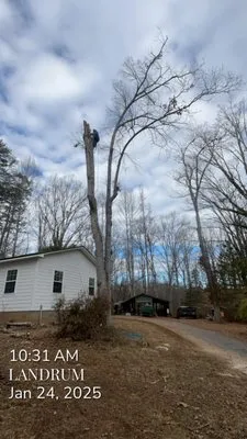 Brown's Tree Service
