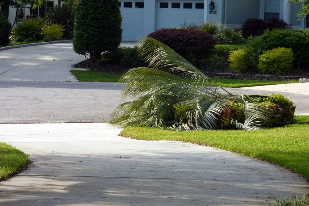 Local yard maintenance for outdoor upgrades across Dunnellon, FL - Brown’s Tree Service