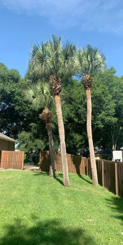 Local residential landscaping in Hamilton, OH - Browns Tree Service