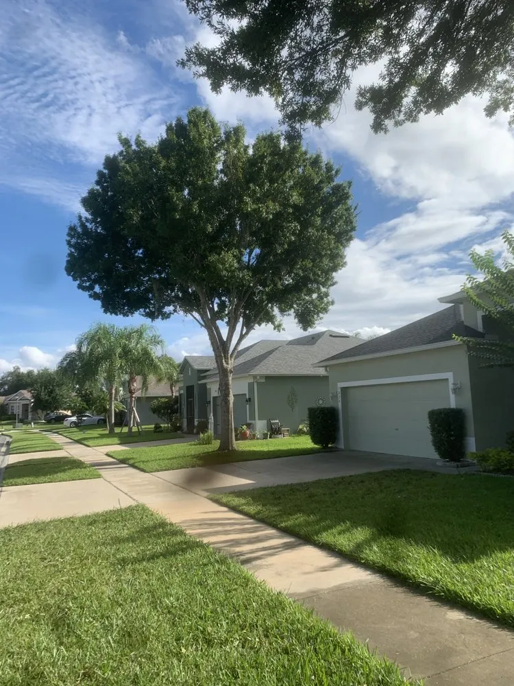 Expert yard cleanup service in Hamilton, OH - Browns Tree Service