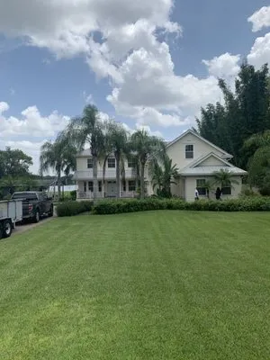 Browns Tree Service Logo