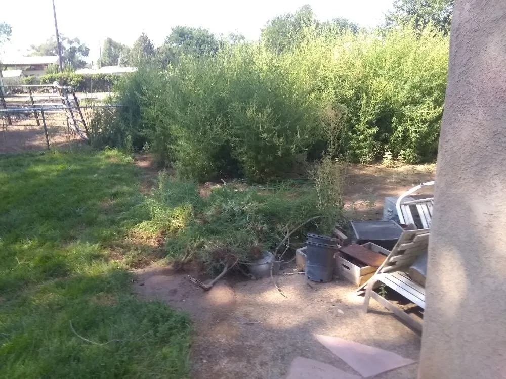 Local landscape design for year-round maintenance in Albuquerque, NM by Brown's Yard Work and Maintenance