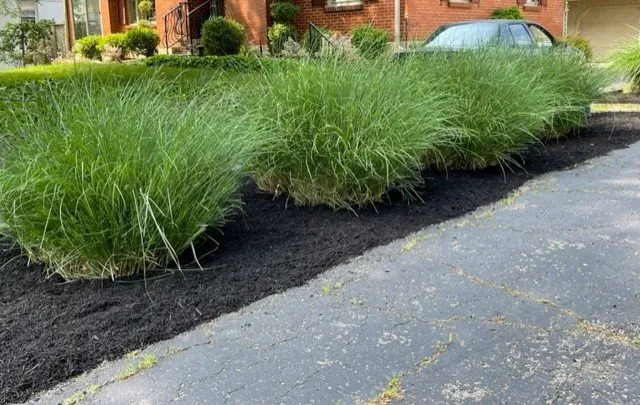 Custom outdoor landscaping for homes across Louisville, KY - Brownsboro Lawn Care