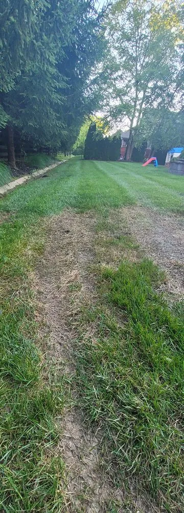 Custom outdoor landscaping for homes across Louisville, KY - Brownsboro Lawn Care