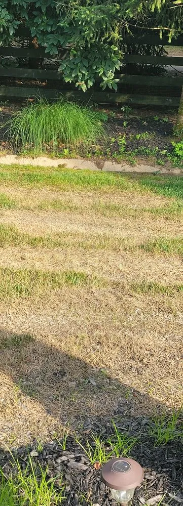 Top-rated yard maintenance in Louisville, KY by Brownsboro Lawn Care