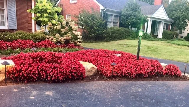 Expert lawn mowing service near you in Louisville, KY by Brownsboro Lawn Care