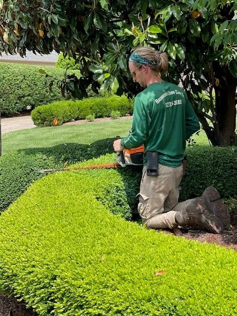 Top-rated yard cleanup service in Louisville, KY by Brownsboro Lawn Care