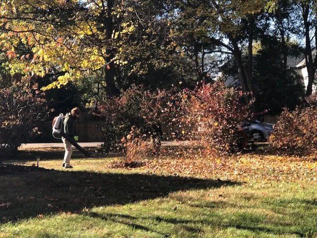 Expert landscape installation with custom design in Louisville, KY by Brownsboro Lawn Care