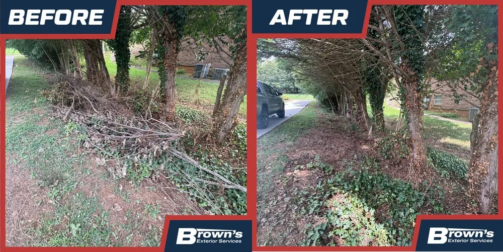 Local lawn care service in Alcoa, TN by Browns's Exterior Services