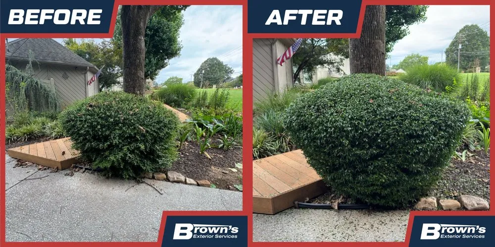 Trusted yard maintenance near you in Alcoa, TN by Browns's Exterior Services