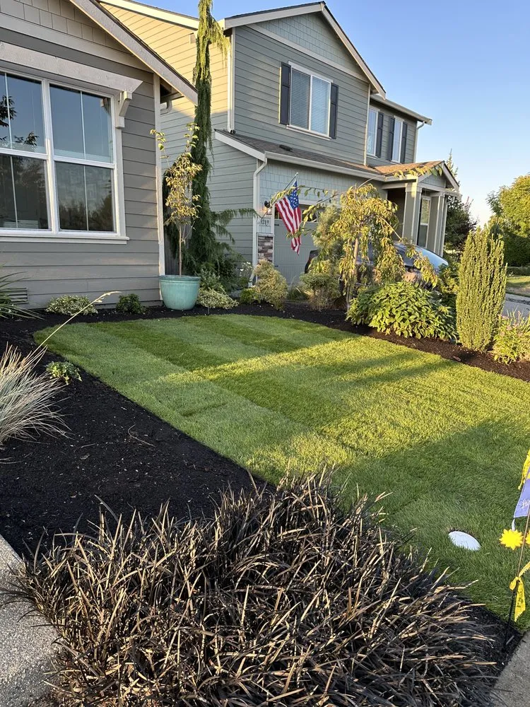 Trusted yard cleanup service in Stanwood, WA by Brownstone L&H