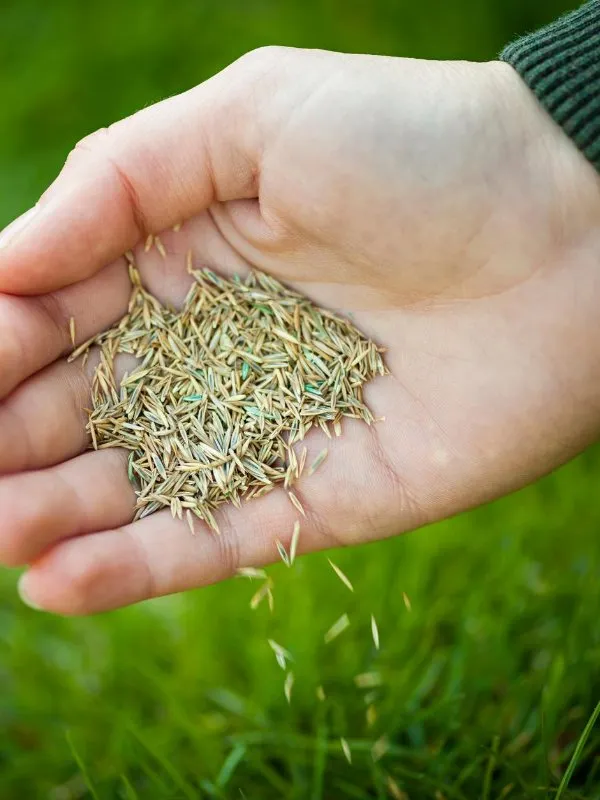 Trusted residential landscaping in Brownstown, MI - Brownstown Lawn Care