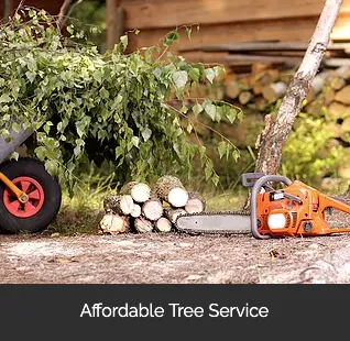Expert outdoor landscaping for residential properties in Mesa, AZ by Brownwood Tree Service, Landscape & Firewood
