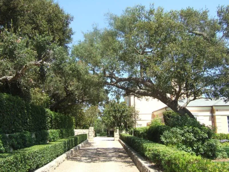 Reliable outdoor landscaping in Mesa, AZ - Brownwood Tree Service, Landscape & Firewood