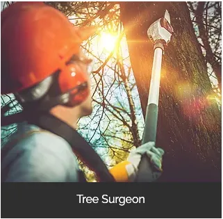 Brownwood Tree Service, Landscape & Firewood Logo