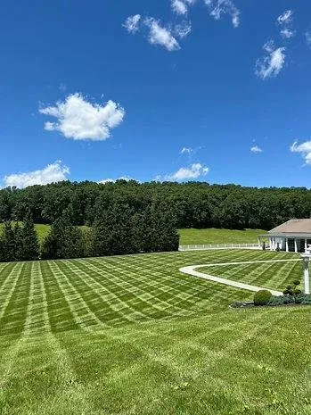 Local yard cleanup service experts serving Vermilion, OH - BRP Lawn And Landscape