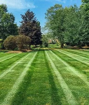 Custom lawn care service in Vermilion, OH - BRP Lawn And Landscape
