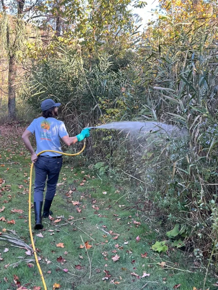 Affordable residential landscaping in West Milford, NJ by BRS Backyard Bug Busters