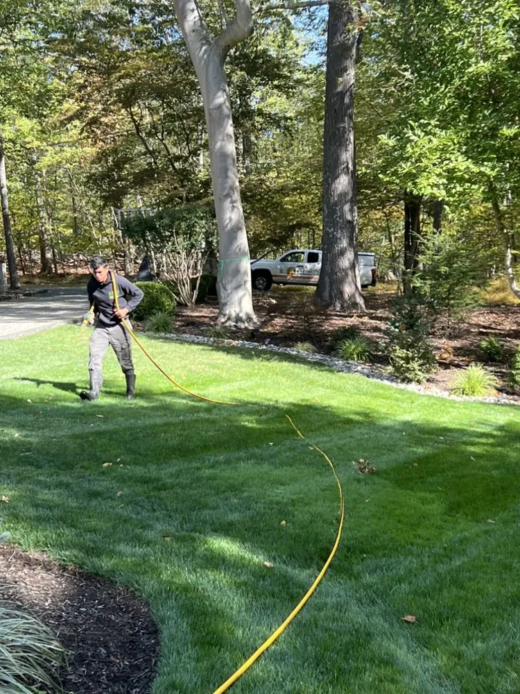 Local landscaping services for outdoor upgrades in West Milford, NJ by BRS Backyard Bug Busters