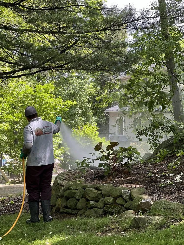 Professional outdoor landscaping in West Milford, NJ by BRS Backyard Bug Busters