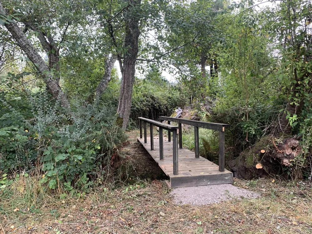 Trusted yard cleanup service experts serving McKinleyville, CA - BRS Fence & Landscape